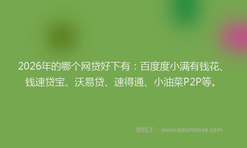 2026年的哪个网贷好下有:百度度小满有钱花、钱速贷宝、沃易贷、速得通、小油菜P2P等。