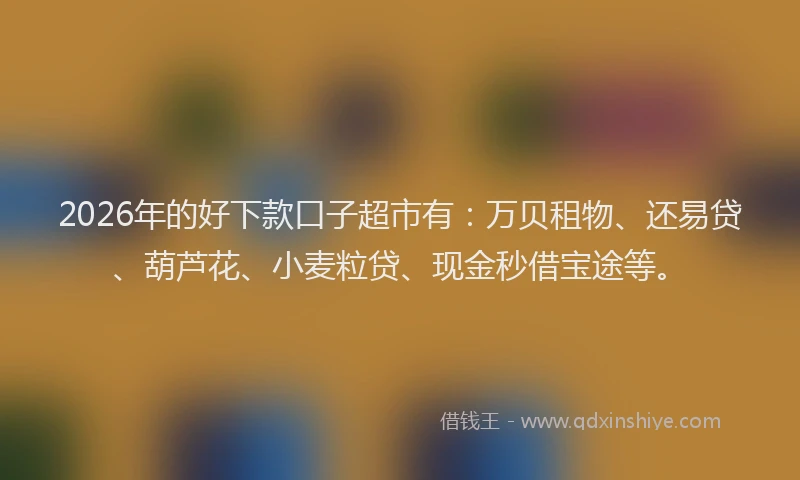 2026年的好下款口子超市有：万贝租物、还易贷、葫芦花、小麦粒贷、现金秒借宝途等。