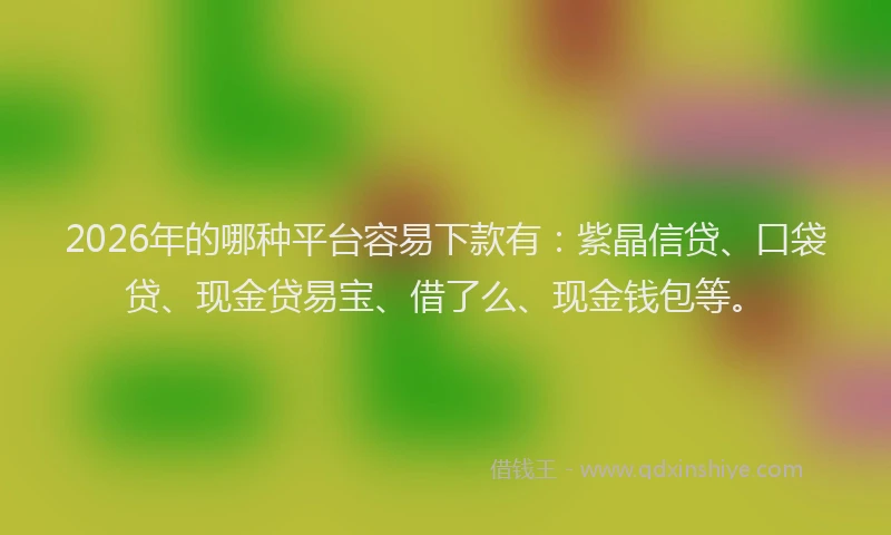 2026年的哪种平台容易下款有:紫晶信贷、口袋贷、现金贷易宝、借了么、现金钱包等。