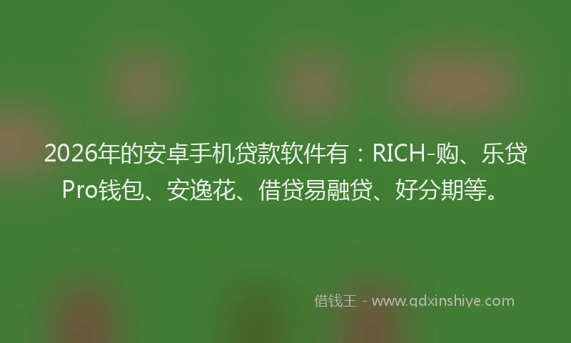 2026年的安卓手机贷款软件有：RICH-购、乐贷Pro钱包、安逸花、借贷易融贷、好分期等。