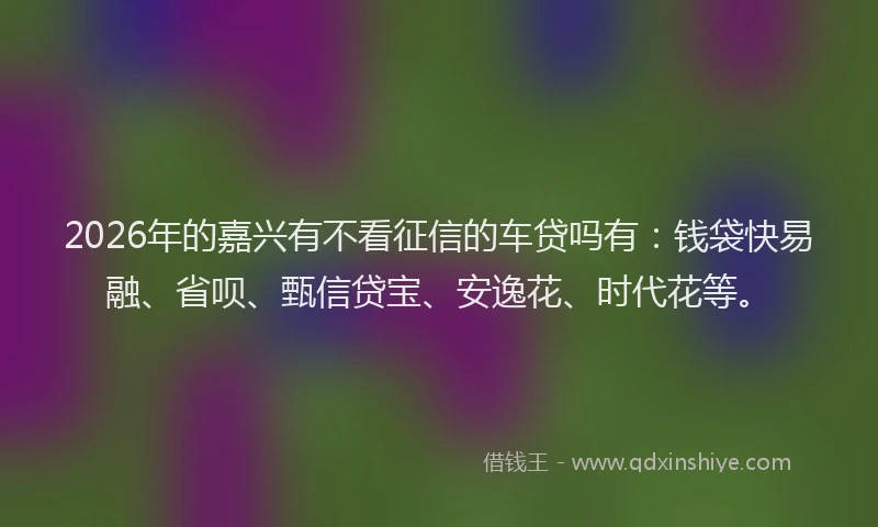 2026年的嘉兴有不看征信的车贷吗有：钱袋快易融、省呗、甄信贷宝、安逸花、时代花等。