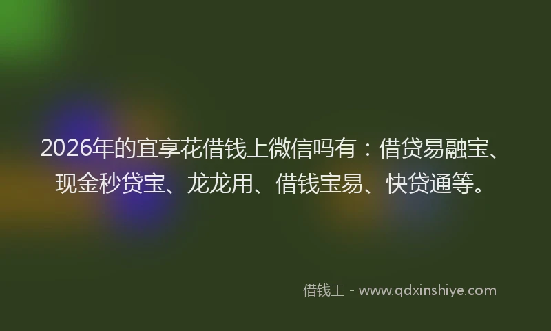 2026年的宜享花借钱上微信吗有：借贷易融宝、现金秒贷宝、龙龙用、借钱宝易、快贷通等。