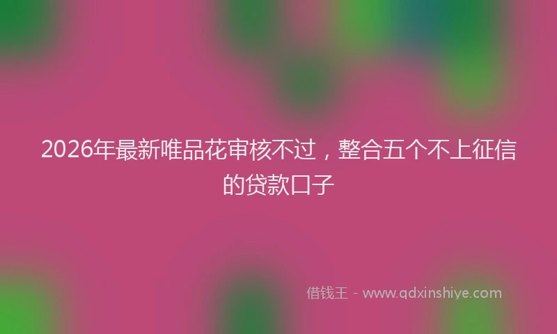 2026年最新唯品花审核不过，整合五个不上征信的贷款口子
