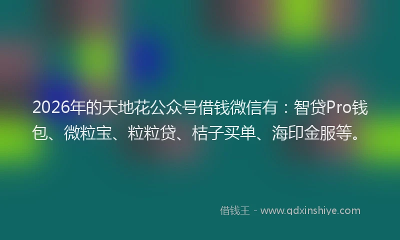 2026年的天地花公众号借钱微信有：智贷Pro钱包、微粒宝、粒粒贷、桔子买单、海印金服等。