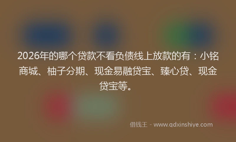 2026年的哪个贷款不看负债线上放款的有:小铭商城、柚子分期、现金易融贷宝、臻心贷、现金贷宝等。