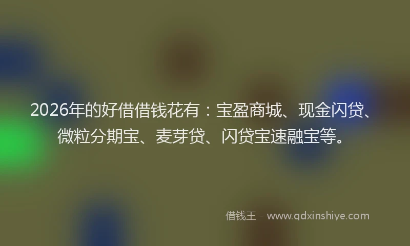 2026年的好借借钱花有：宝盈商城、现金闪贷、微粒分期宝、麦芽贷、闪贷宝速融宝等。