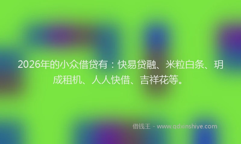 2026年的小众借贷有：快易贷融、米粒白条、玥成租机、人人快借、吉祥花等。