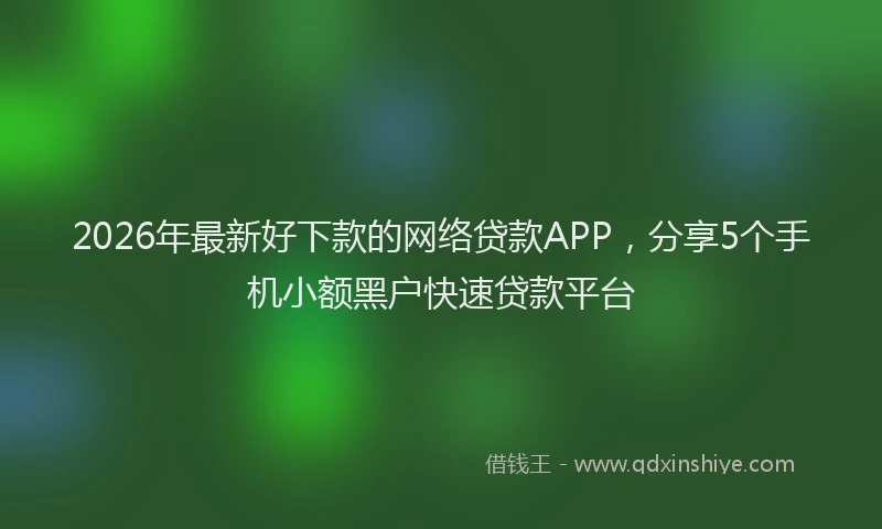2026年最新好下款的网络贷款APP,分享5个手机小额黑户快速贷款平台