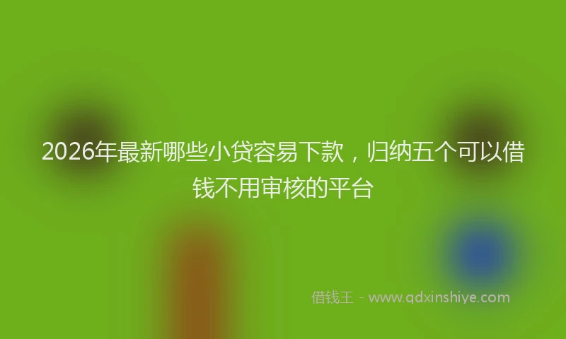 2026年最新哪些小贷容易下款，归纳五个可以借钱不用审核的平台