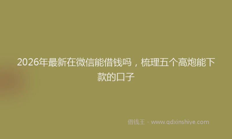 2026年最新在微信能借钱吗，梳理五个高炮能下款的口子