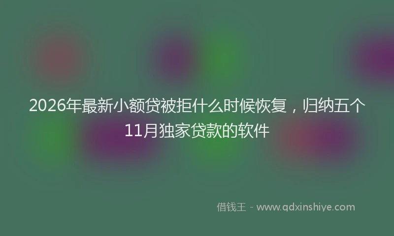 2026年最新小额贷被拒什么时候恢复，归纳五个11月独家贷款的软件