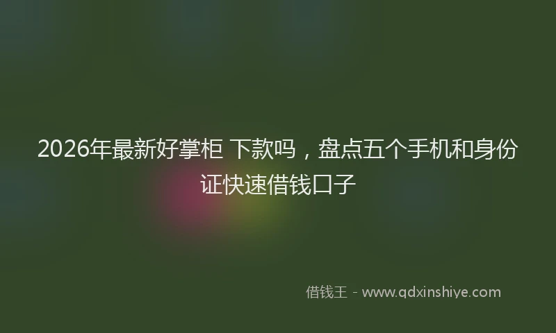 2026年最新好掌柜 下款吗，盘点五个手机和身份证快速借钱口子