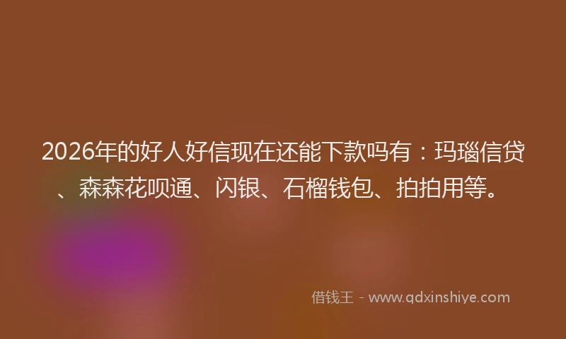 2026年的好人好信现在还能下款吗有：玛瑙信贷、森森花呗通、闪银、石榴钱包、拍拍用等。