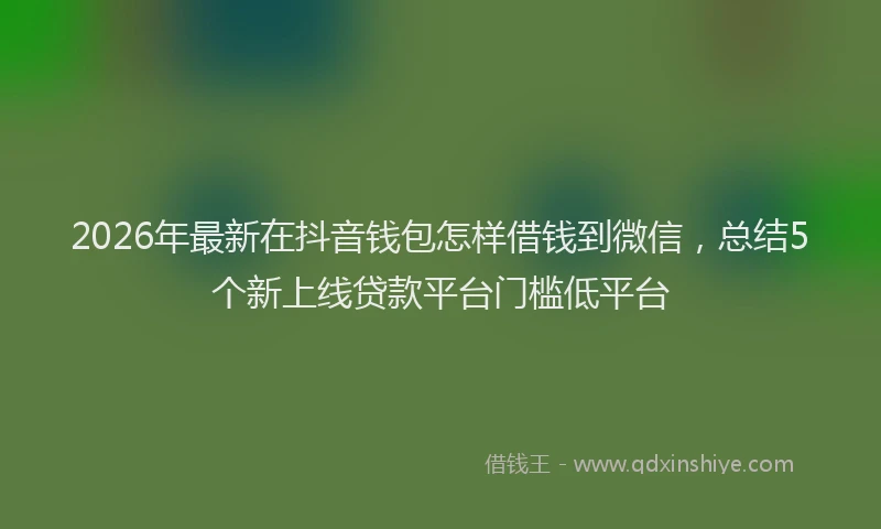 2026年最新在抖音钱包怎样借钱到微信,总结5个新上线贷款平台门槛低平台