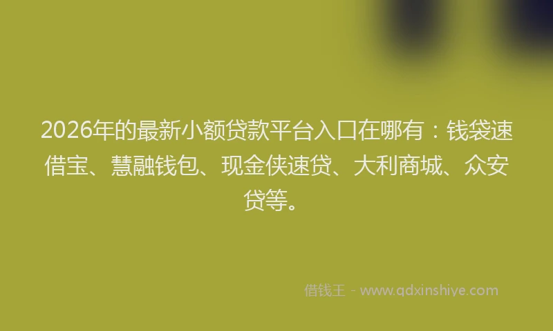 2026年的最新小额贷款平台入口在哪有：钱袋速借宝、慧融钱包、现金侠速贷、大利商城、众安贷等。