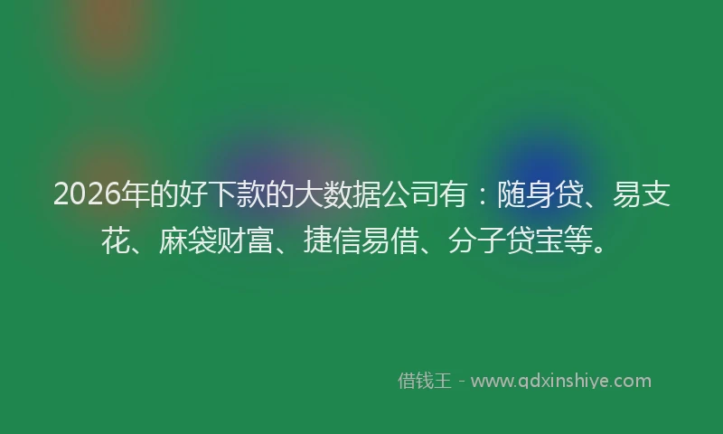 2026年的好下款的大数据公司有：随身贷、易支花、麻袋财富、捷信易借、分子贷宝等。