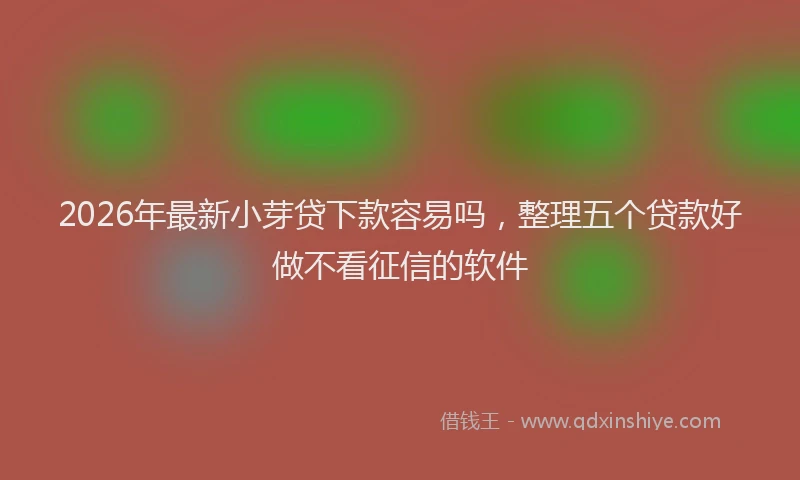 2026年最新小芽贷下款容易吗，整理五个贷款好做不看征信的软件