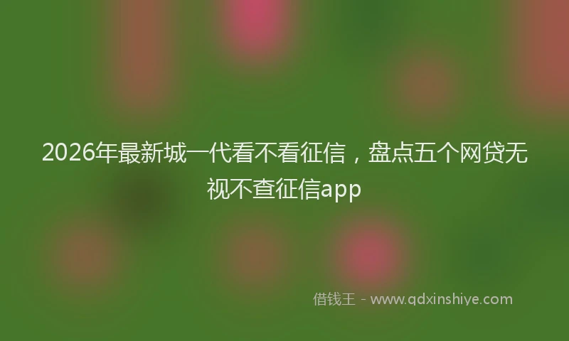 2026年最新城一代看不看征信,盘点五个网贷无视不查征信app