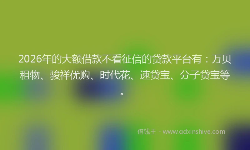 2026年的大额借款不看征信的贷款平台有：万贝租物、骏祥优购、时代花、速贷宝、分子贷宝等。