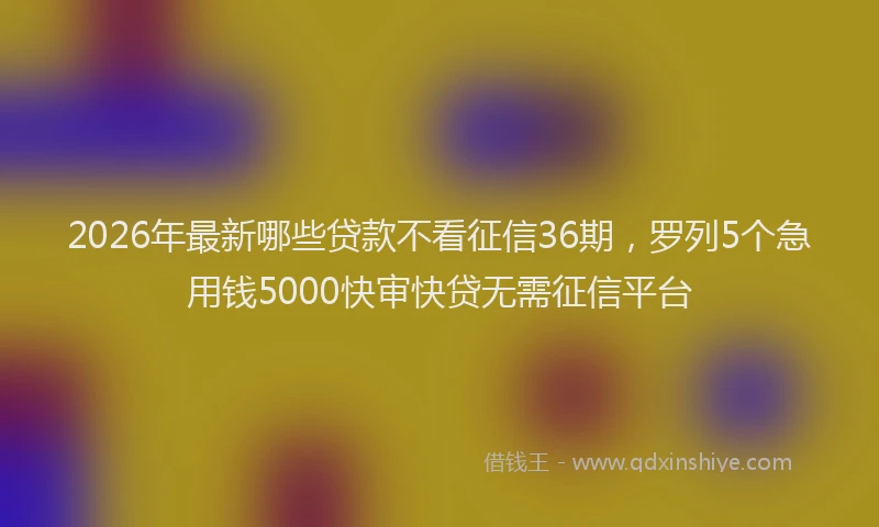 2026年最新哪些贷款不看征信36期,罗列5个急用钱5000快审快贷无需征信平台