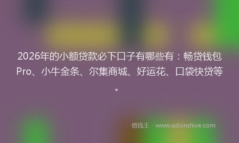 2026年的小额贷款必下口子有哪些有：畅贷钱包Pro、小牛金条、尔集商城、好运花、口袋快贷等。