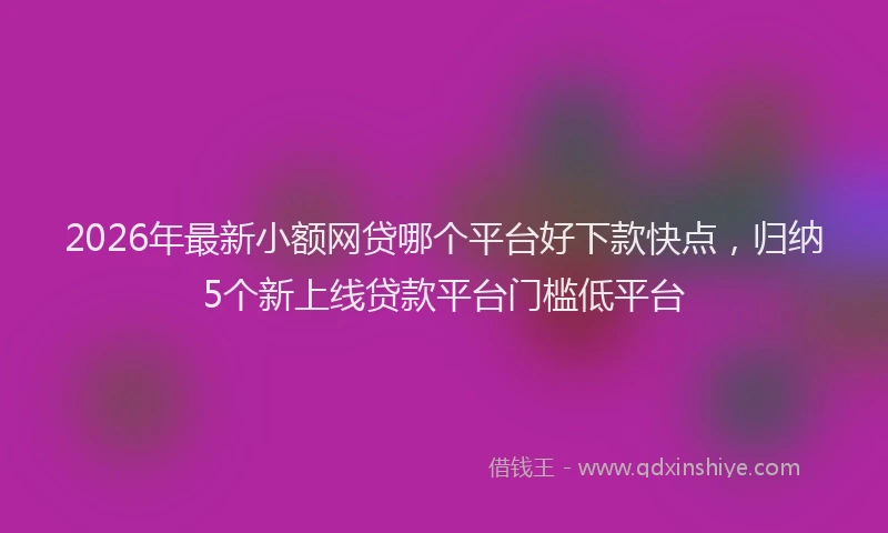 2026年最新小额网贷哪个平台好下款快点，归纳5个新上线贷款平台门槛低平台