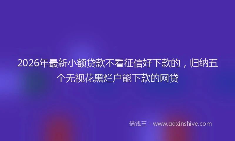 2026年最新小额贷款不看征信好下款的，归纳五个无视花黑烂户能下款的网贷