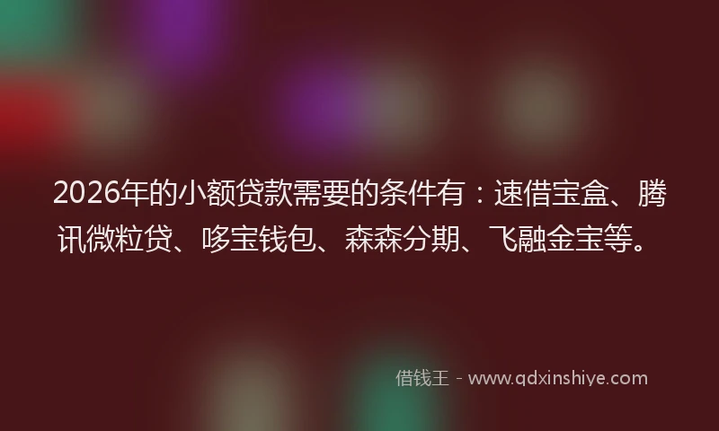 2026年的小额贷款需要的条件有：速借宝盒、腾讯微粒贷、哆宝钱包、森森分期、飞融金宝等。