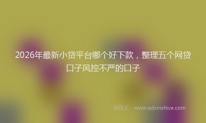 2026年最新小贷平台哪个好下款，整理五个网贷口子风控不严的口子