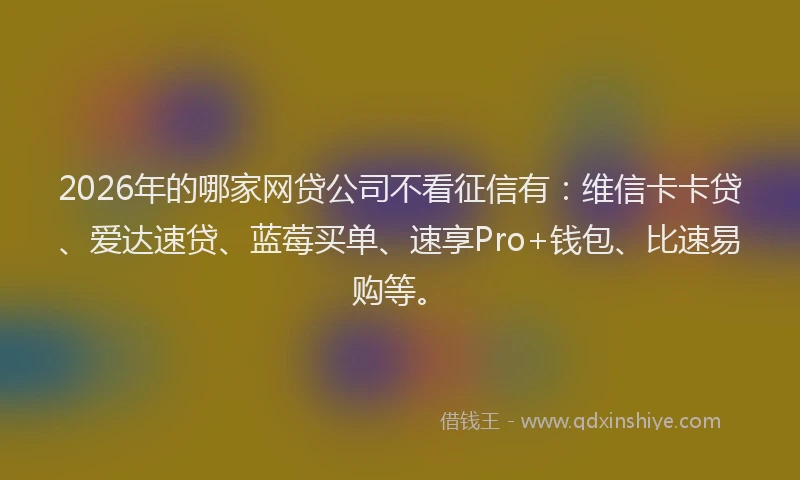 2026年的哪家网贷公司不看征信有：维信卡卡贷、爱达速贷、蓝莓买单、速享Pro+钱包、比速易购等。