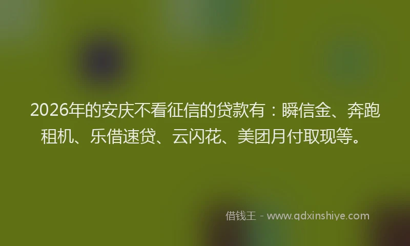 2026年的安庆不看征信的贷款有：瞬信金、奔跑租机、乐借速贷、云闪花、美团月付取现等。