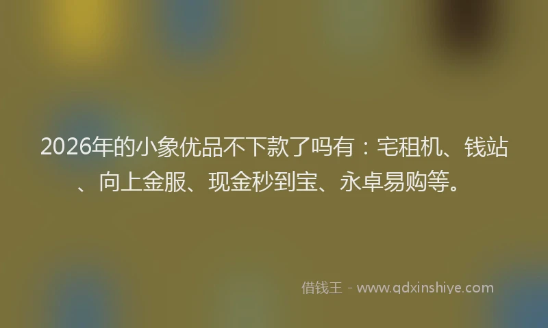 2026年的小象优品不下款了吗有：宅租机、钱站、向上金服、现金秒到宝、永卓易购等。
