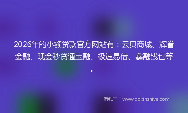2026年的小额贷款官方网站有：云贝商城、辉誉金融、现金秒贷通宝融、极速易借、鑫融钱包等。