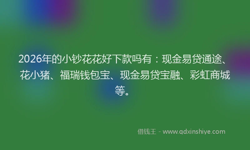 2026年的小钞花花好下款吗有：现金易贷通途、花小猪、福瑞钱包宝、现金易贷宝融、彩虹商城等。