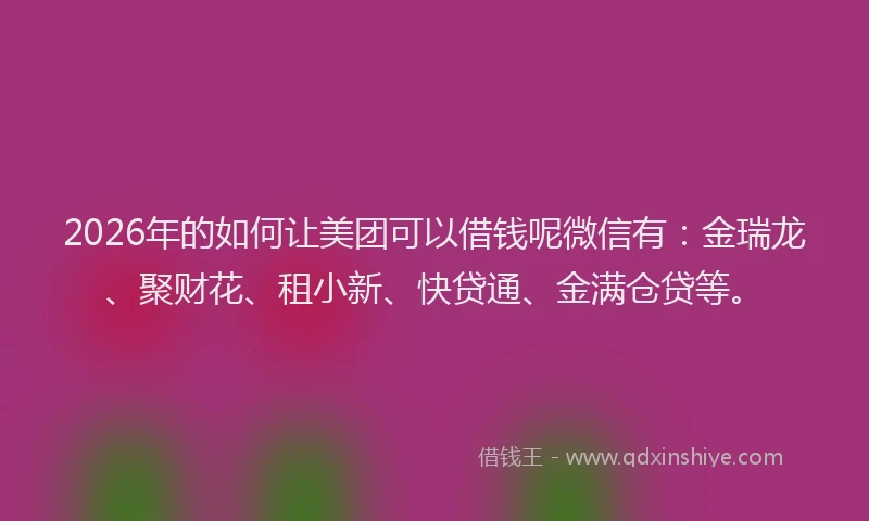 2026年的如何让美团可以借钱呢微信有：金瑞龙、聚财花、租小新、快贷通、金满仓贷等。