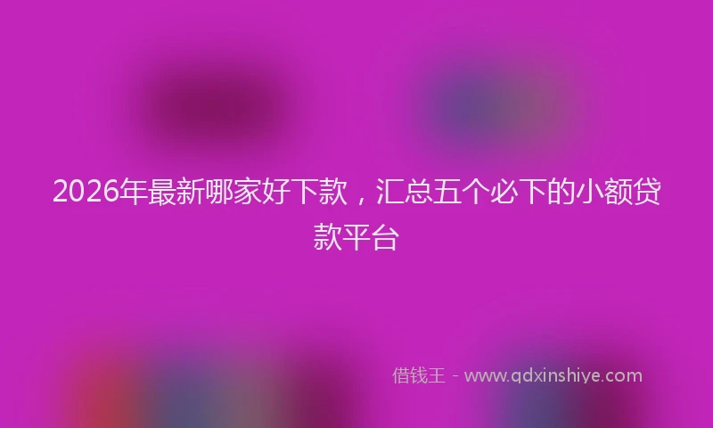2026年最新哪家好下款,汇总五个必下的小额贷款平台