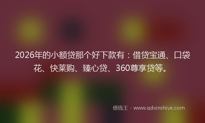 2026年的小额贷那个好下款有：借贷宝通、口袋花、快莱购、臻心贷、360尊享贷等。
