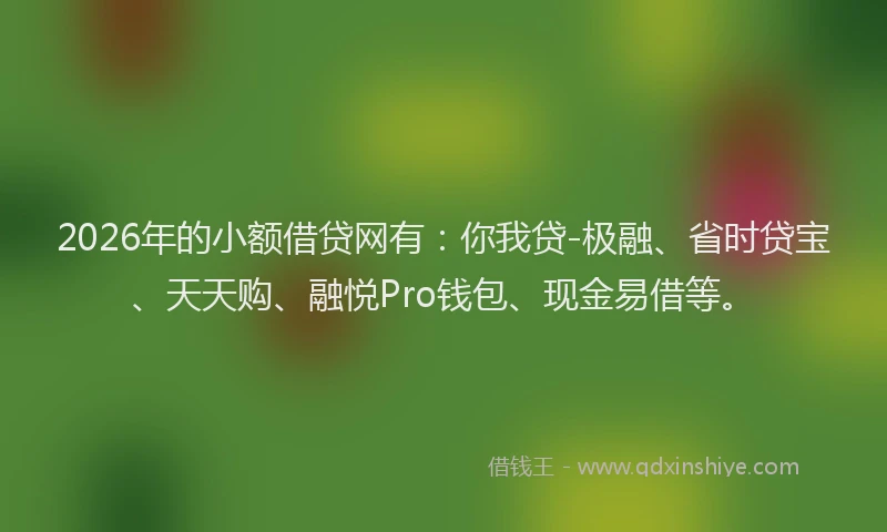 2026年的小额借贷网有：你我贷-极融、省时贷宝、天天购、融悦Pro钱包、现金易借等。