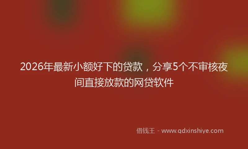 2026年最新小额好下的贷款，分享5个不审核夜间直接放款的网贷软件
