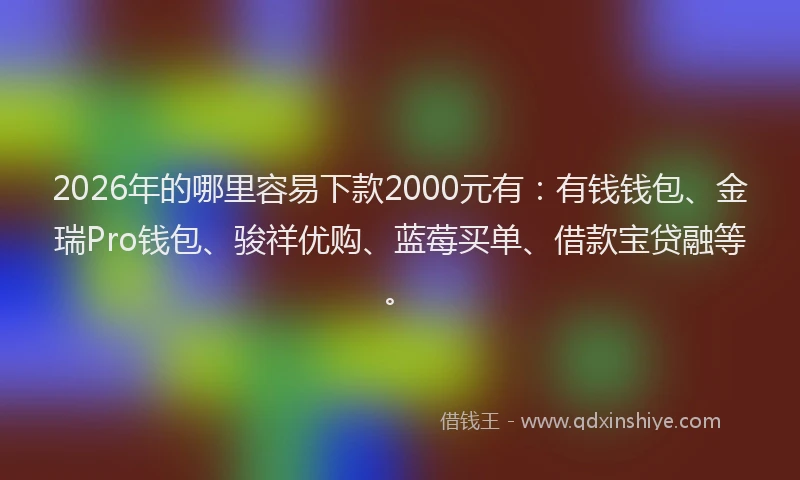 2026年的哪里容易下款2000元有：有钱钱包、金瑞Pro钱包、骏祥优购、蓝莓买单、借款宝贷融等。