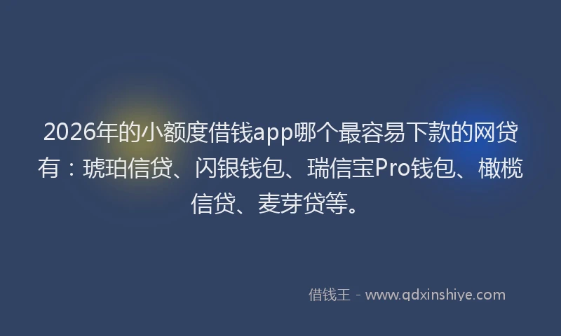 2026年的小额度借钱app哪个最容易下款的网贷有：琥珀信贷、闪银钱包、瑞信宝Pro钱包、橄榄信贷、麦芽贷等。