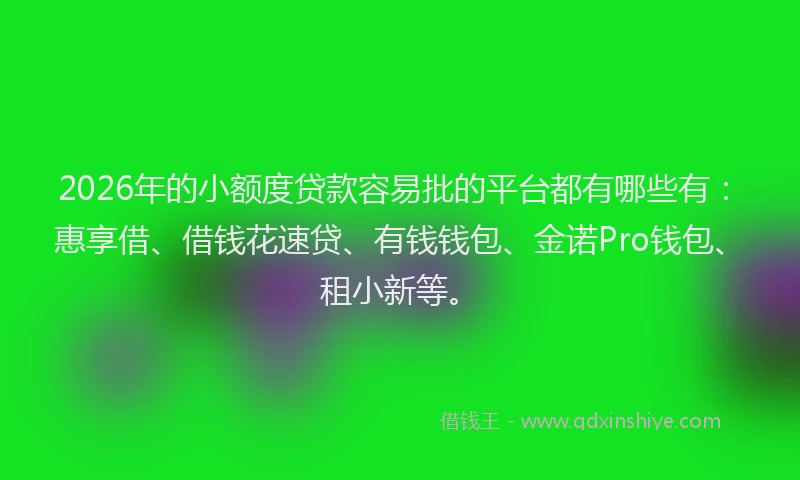 2026年的小额度贷款容易批的平台都有哪些有：惠享借、借钱花速贷、有钱钱包、金诺Pro钱包、租小新等。