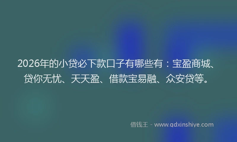 2026年的小贷必下款口子有哪些有：宝盈商城、贷你无忧、天天盈、借款宝易融、众安贷等。