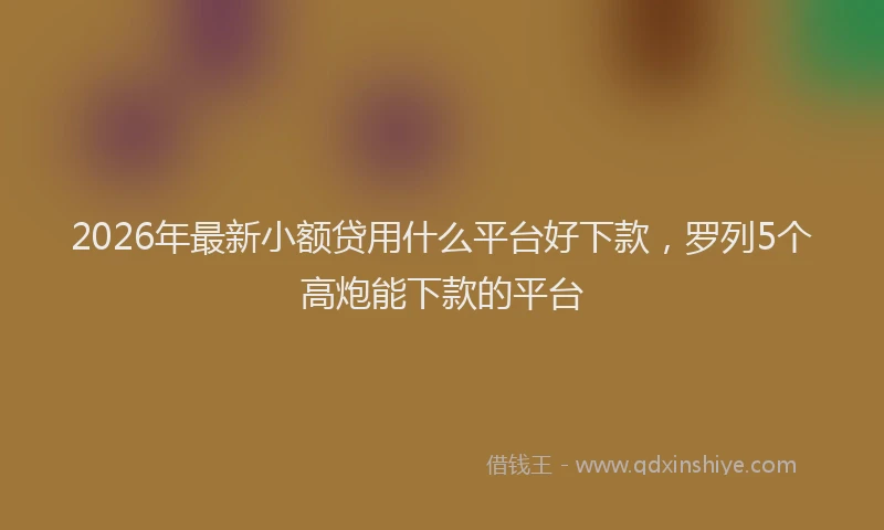 2026年最新小额贷用什么平台好下款，罗列5个高炮能下款的平台
