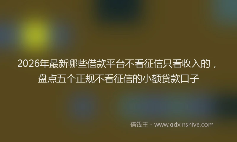 2026年最新哪些借款平台不看征信只看收入的，盘点五个正规不看征信的小额贷款口子
