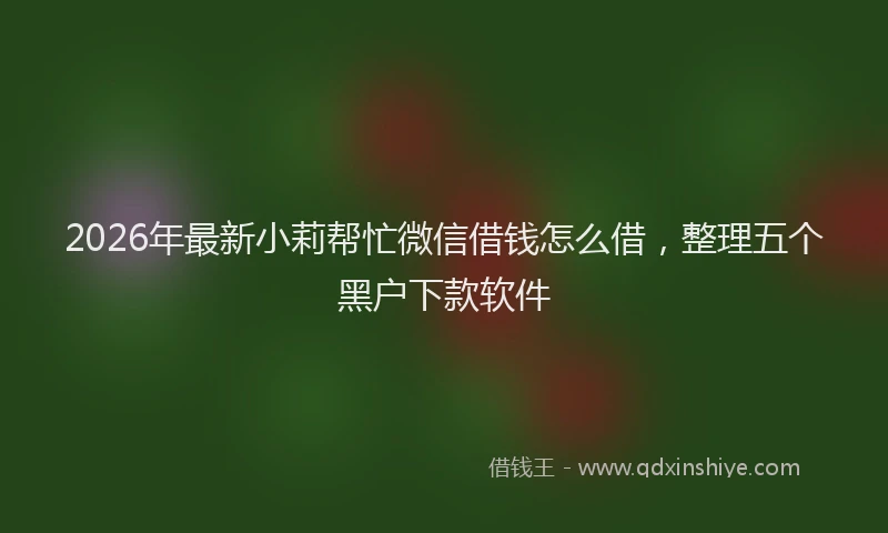2026年最新小莉帮忙微信借钱怎么借，整理五个黑户下款软件