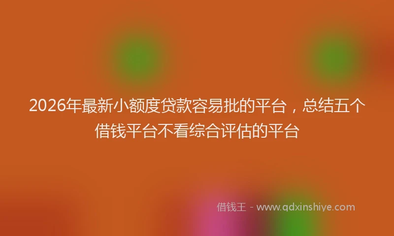 2026年最新小额度贷款容易批的平台，总结五个借钱平台不看综合评估的平台