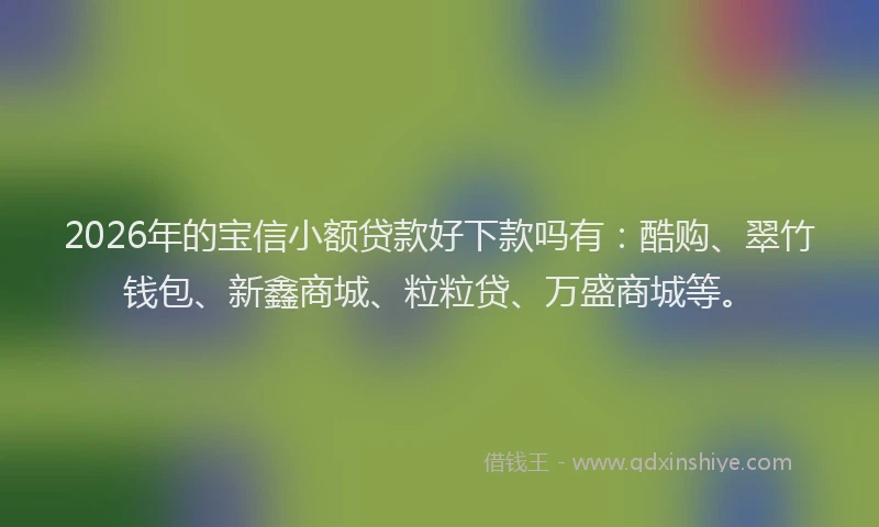 2026年的宝信小额贷款好下款吗有：酷购、翠竹钱包、新鑫商城、粒粒贷、万盛商城等。