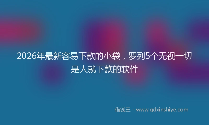 2026年最新容易下款的小袋，罗列5个无视一切是人就下款的软件
