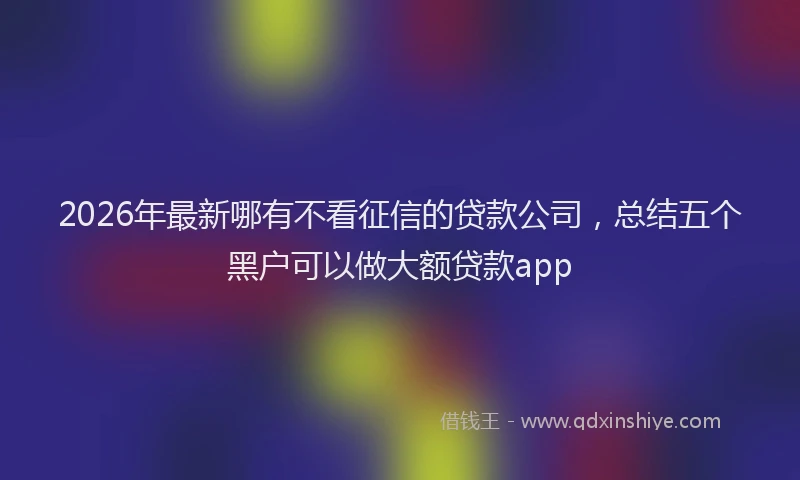 2026年最新哪有不看征信的贷款公司，总结五个黑户可以做大额贷款app